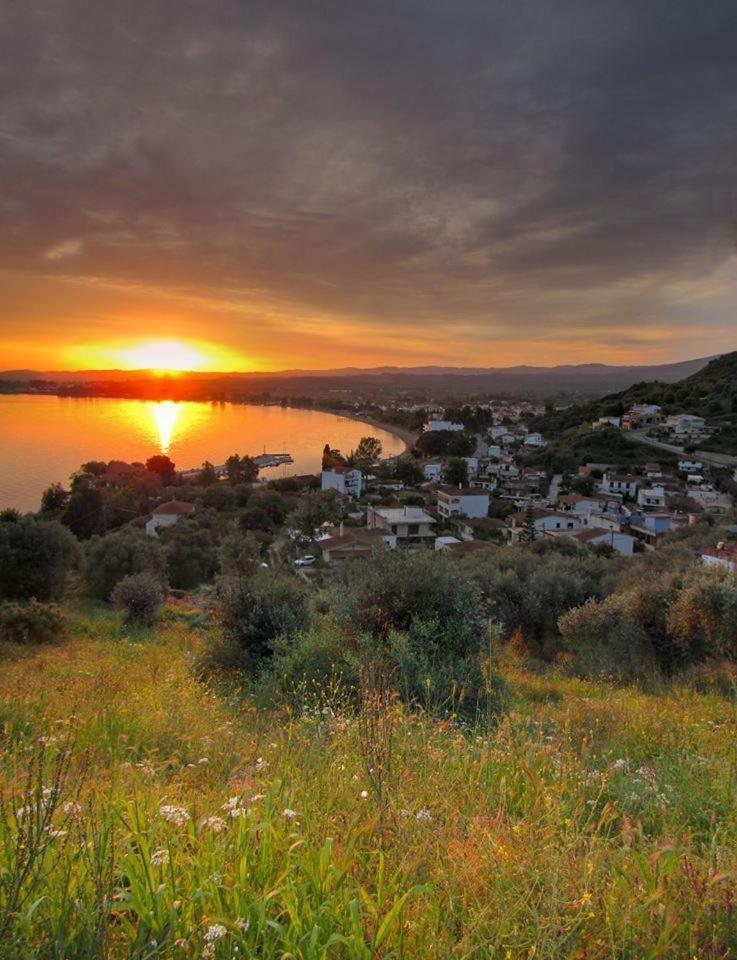 Kochili Apartments Néos Pírgos Exteriér fotografie